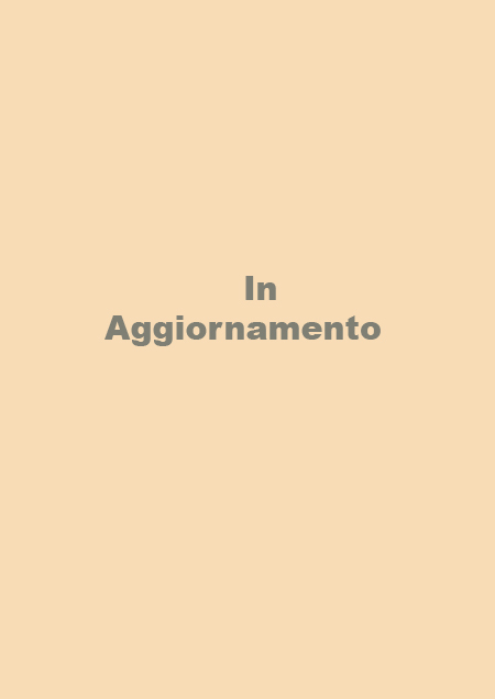Stefanelli Tecnica - Natural geo -intonaco che traspira in pura calce naturale Stefanelli Tecnica - Natural geo -intonaco che traspira in pura calce naturale