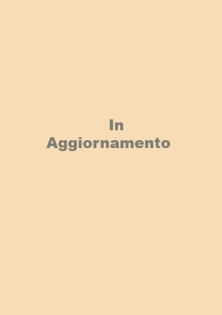 Stefanelli Tecnica - Natural geo -intonaco che traspira in pura calce naturale Stefanelli Tecnica - Natural geo -intonaco che traspira in pura calce naturale
