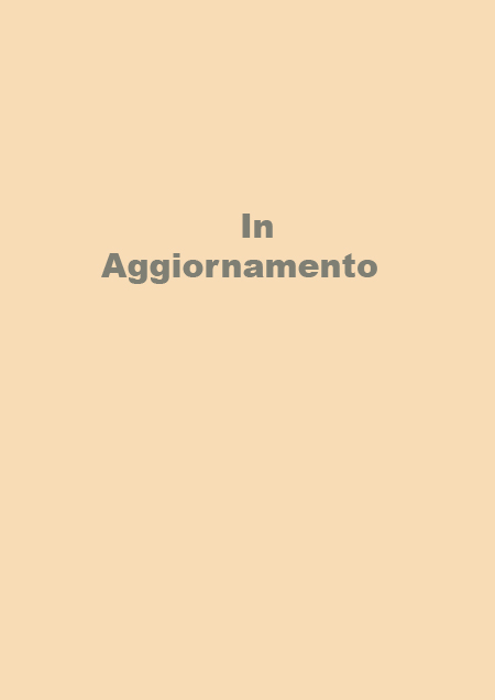 Stefanelli Tecnica - Natural geo -intonaco che traspira in pura calce naturale Stefanelli Tecnica - Natural geo -intonaco che traspira in pura calce naturale